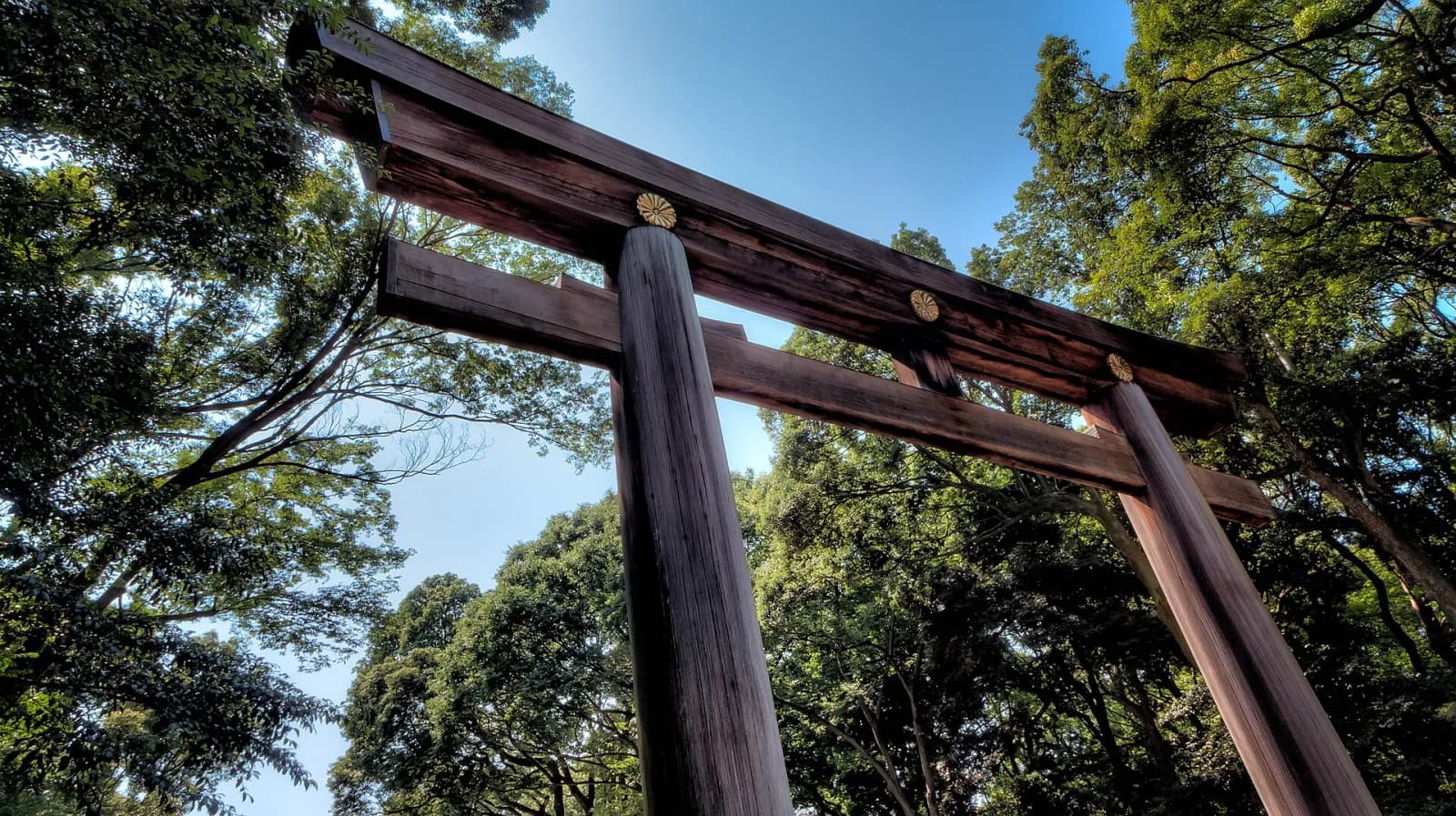 Torii gate at Meiji Jingu