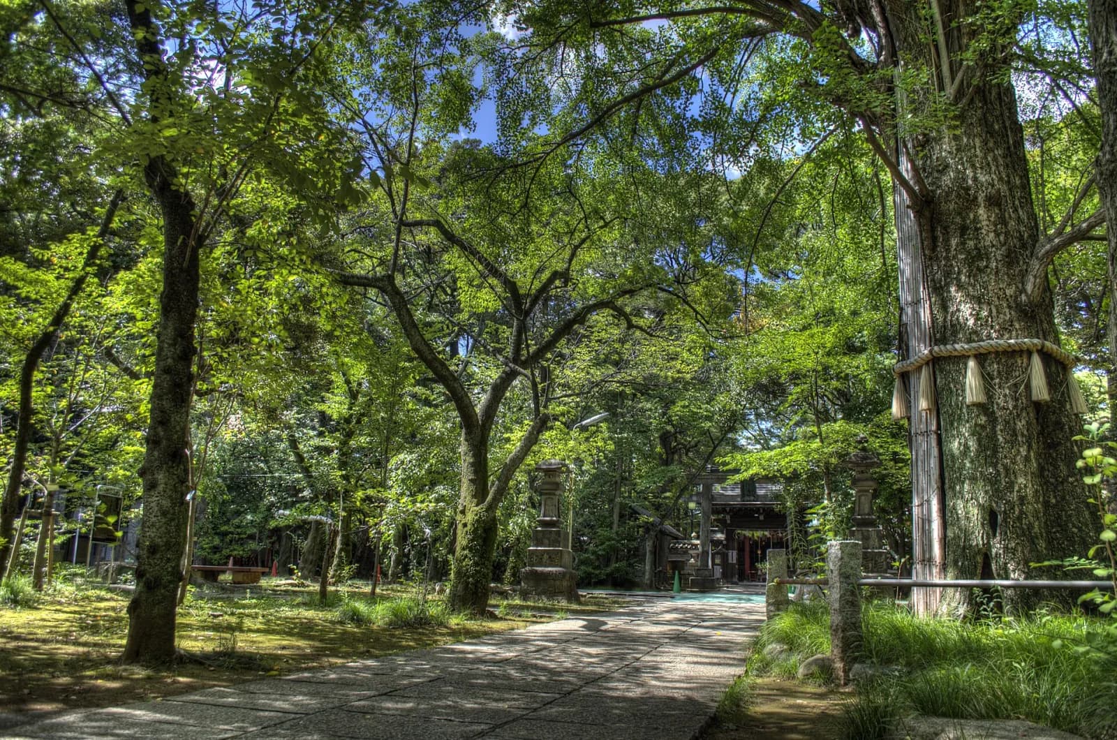 Akasaka Hikawa Shrine